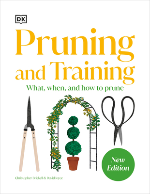 Pruning and Training: What, When, and How to Prune