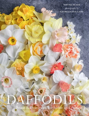 Daffodils: Beautiful Varieties for Home and Garden